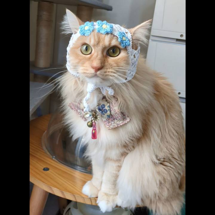 3277616a d533 4c1b aa90 a61ad49a63de 1773731537060