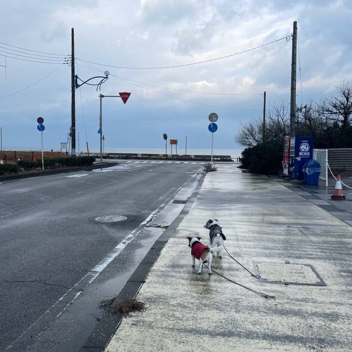 3277ab88 1d3b 4ef0 8b51 ad0f13956fd7 1673223180989