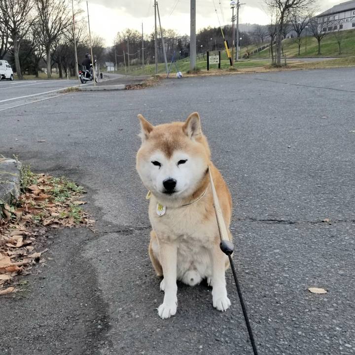 3277f43a e0b4 433f 91c1 d662836583d6 1669786141262