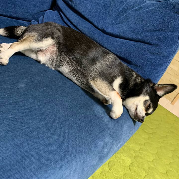 3277fd5f c5a5 428b a07d 591b35abc0ae 1589199579124