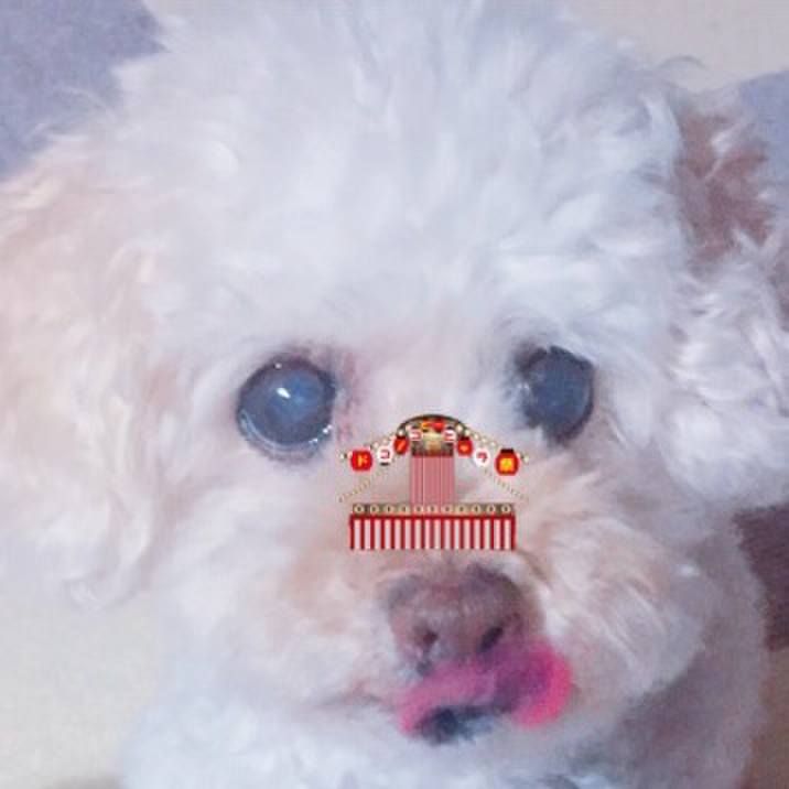 3277fe61 3c08 4dce b374 dcc906c57c88 1533350032897