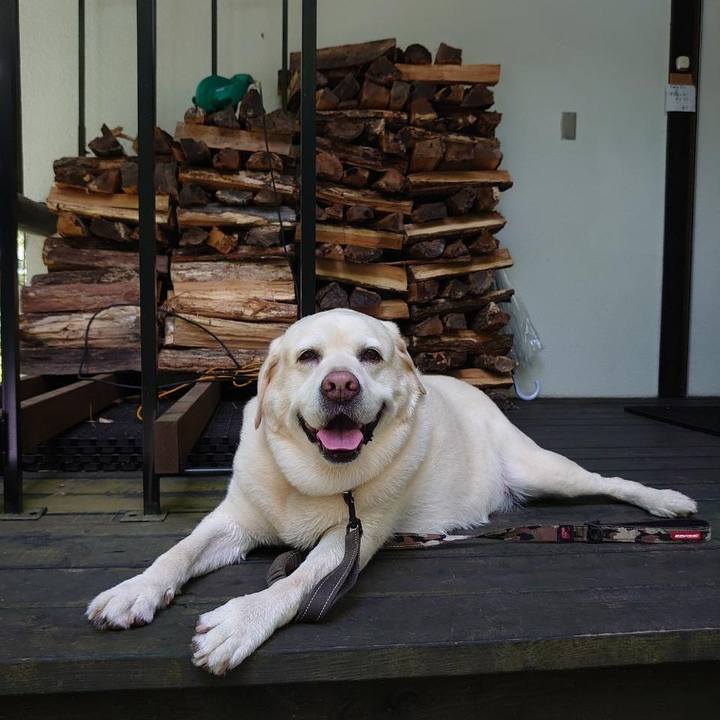 3278003e 47db 4dca ae32 a6a02f66113b 1753504609215