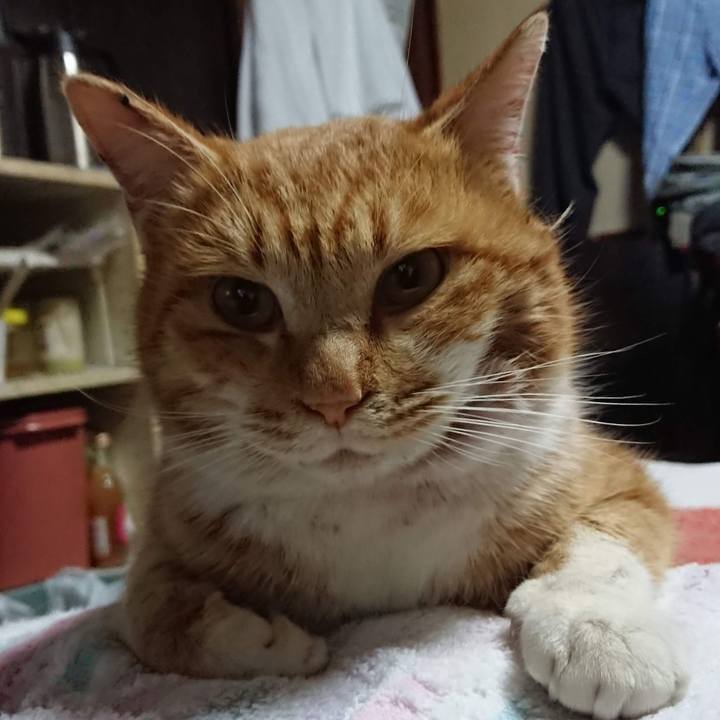 32785660 a9c1 4256 be0f 930f98d72004 1550750354264