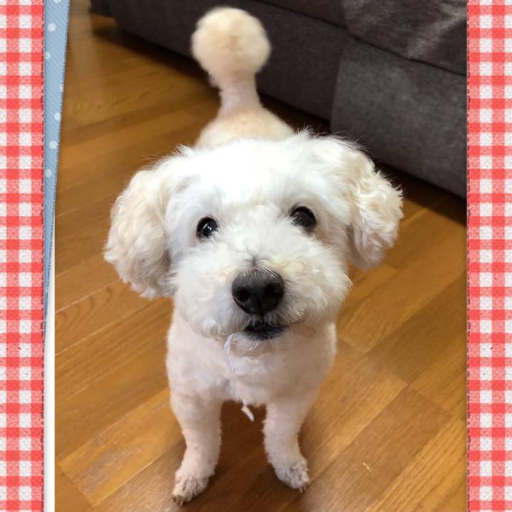 3278798b 1582 4172 80b5 ceef90d30669 1534175978549