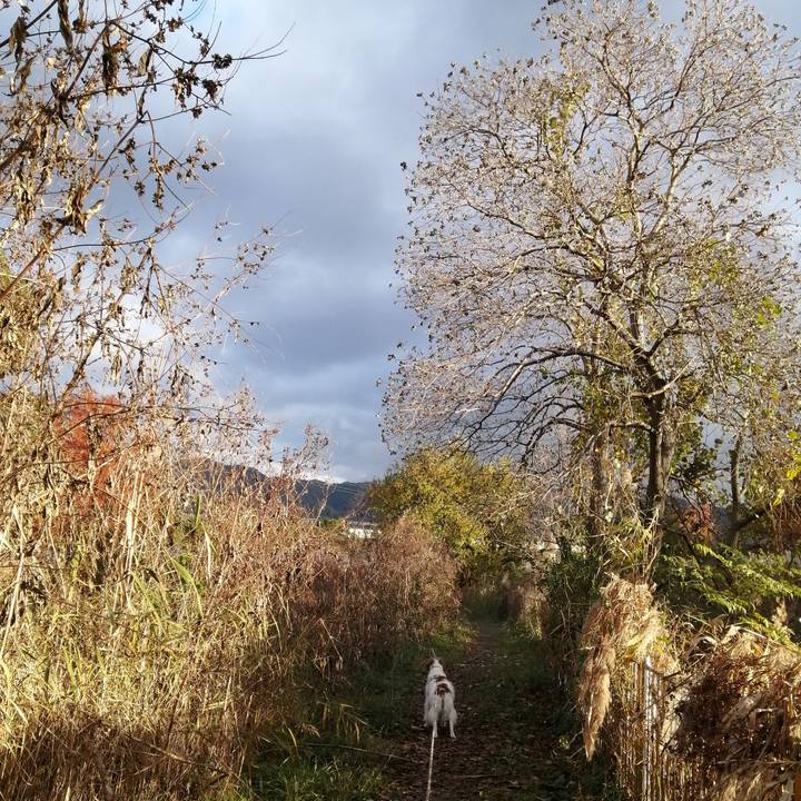 327897cc 422e 420e ad24 962ebfdbd7fd 1575373001091