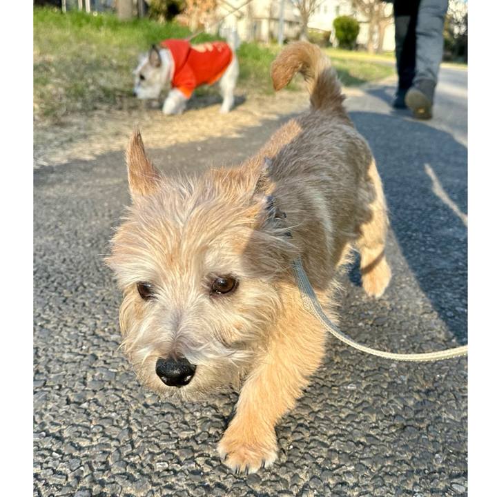 3278a63d fd31 4230 95ba ecc0208a89ca 1706970166748