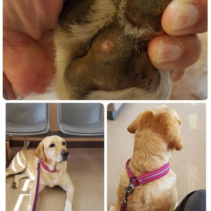 3278be0e 26c4 4602 a139 b30ebf2f17ea 1510224006903