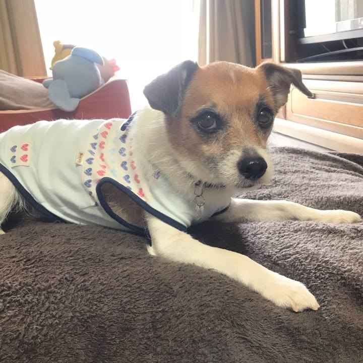 3278e20b 7114 4f3b 8e58 6952a1e00dbb 1529983813232