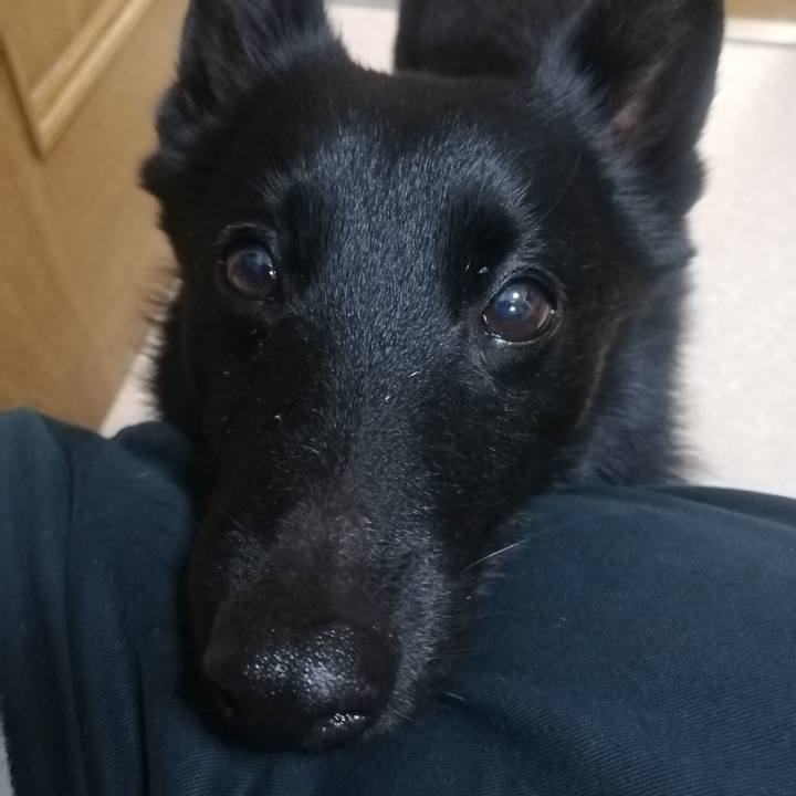 3278eaf1 75d2 4e5a 9c18 57fdcff0e28f 1646083755856