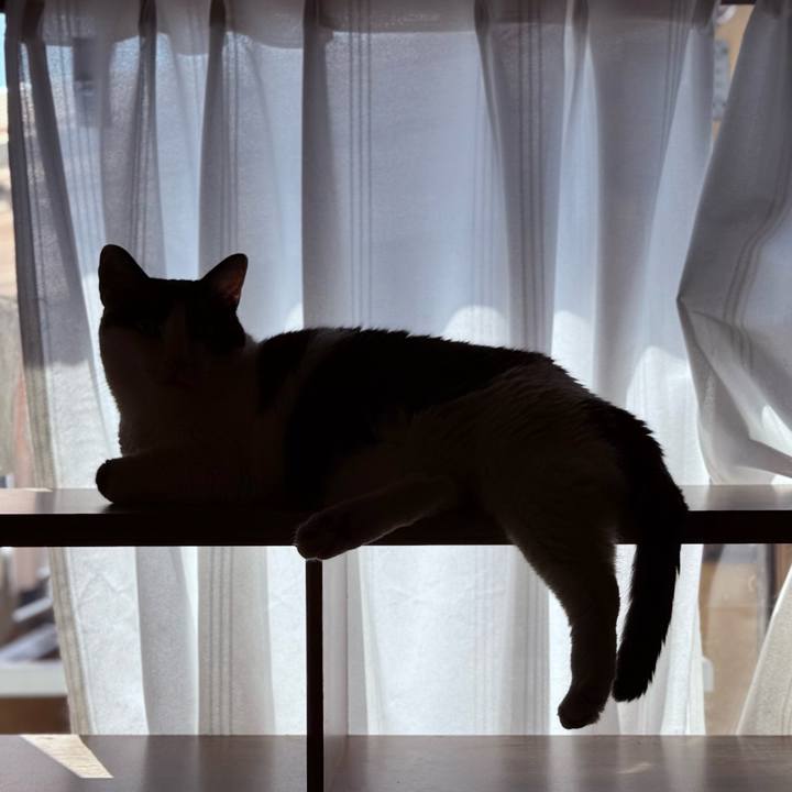 32791c15 bd5a 4681 984f f6941d8c4108 1758764768286