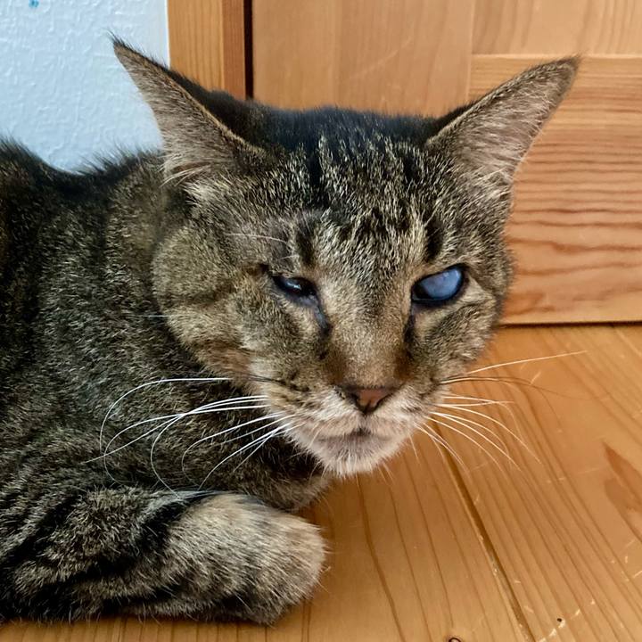 32791ccd 8022 4d44 b86b d122bd5ccb35 1658121829271