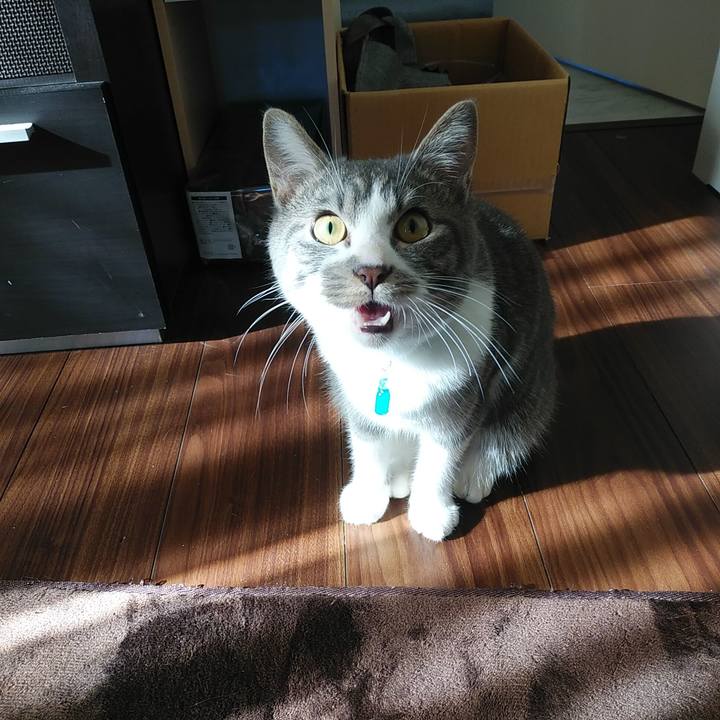 32791d1b b07c 4587 82a3 5017f28cef2a 1576808253062