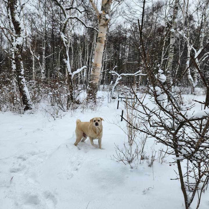 3279347c 40ff 44ea a102 02526af6d9e8 1704338694339