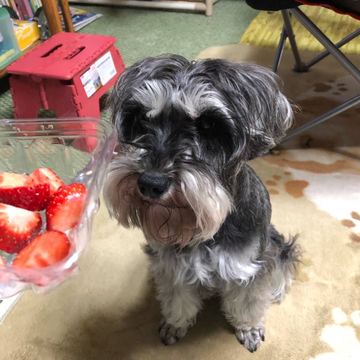 32794082 c9ee 4aa4 98ff 0e5a1ba0ef8d 1554387119846