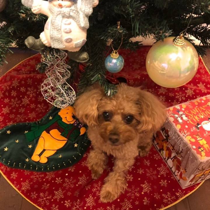 3279500a 9bf5 4d33 bc76 4e598ecd1116 1545649159022