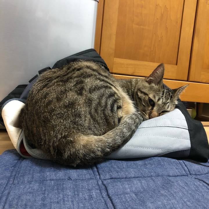 327967b9 8e3a 40f9 b28b 90584505c5b5 1525361896649