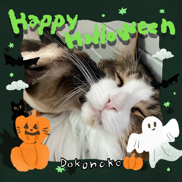 32798e89 12d9 4ecc b541 df5c2d3cd7f0 1730317913574