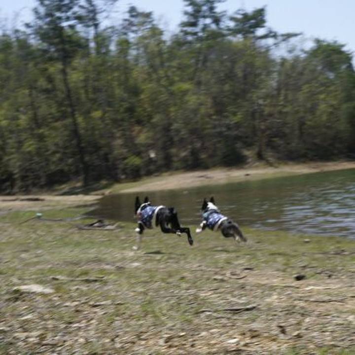 32799cc3 782a 4f5f a25b 027e019a9608 1524217990794