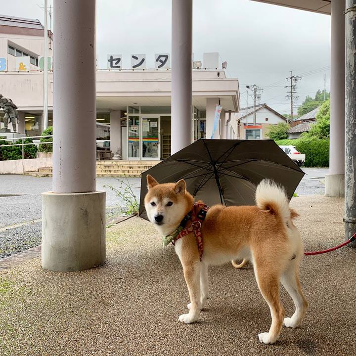 327a02a7 89a5 4701 aee7 ddf72783b7d4 1593851854628