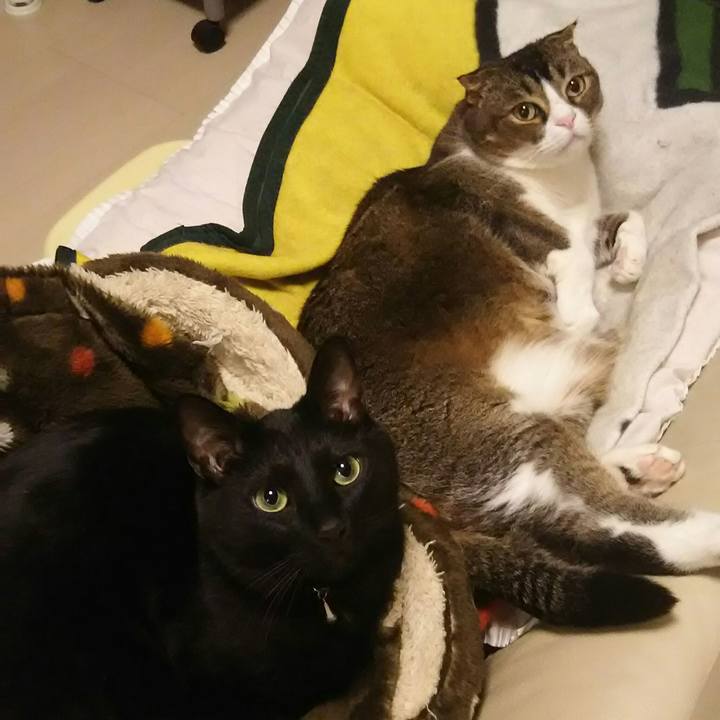 327a1eb5 1e78 437c b124 bce87e914b6a 1525528947702