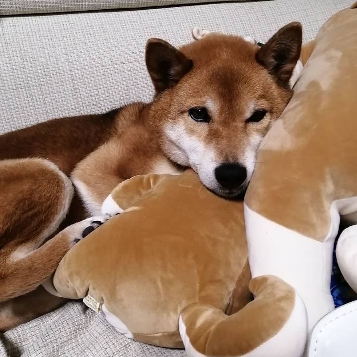 327a2787 5ac9 403b 813b 674b745b8ba7 1582374901373