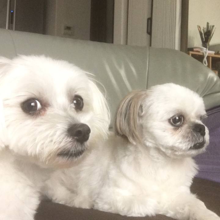 327a2997 ce6f 40db a68a e7ced2dddfcc 1532763306816