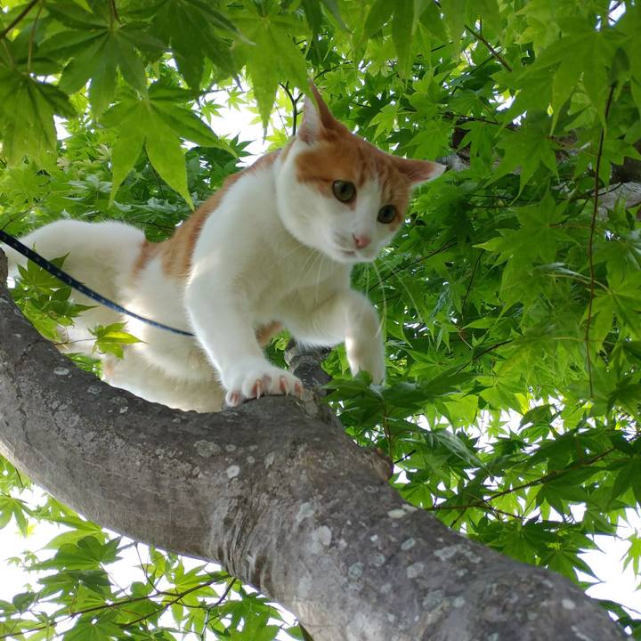 327a4a55 ddc8 4bbf ab96 9ad6290c2c1d 1527328148704