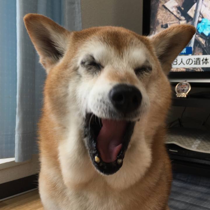 327a4de9 9a23 41d4 811a 2af4189fd720 1524108692778