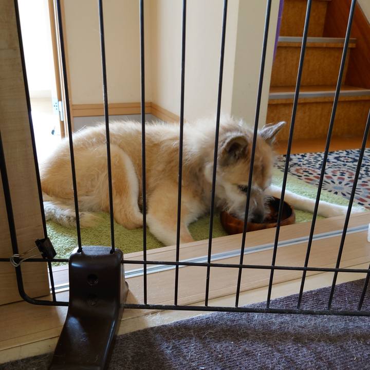 327a5c70 33ce 437d 9a79 21bc7662e48c 1631511249569