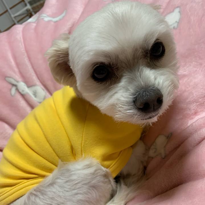 327aa9b7 c6cc 48cb bf88 81c1d13efb3d 1578306340903