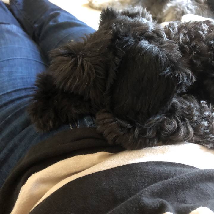 327ac715 07a5 4aef b1ce a3d27f0617a3 1567835643109