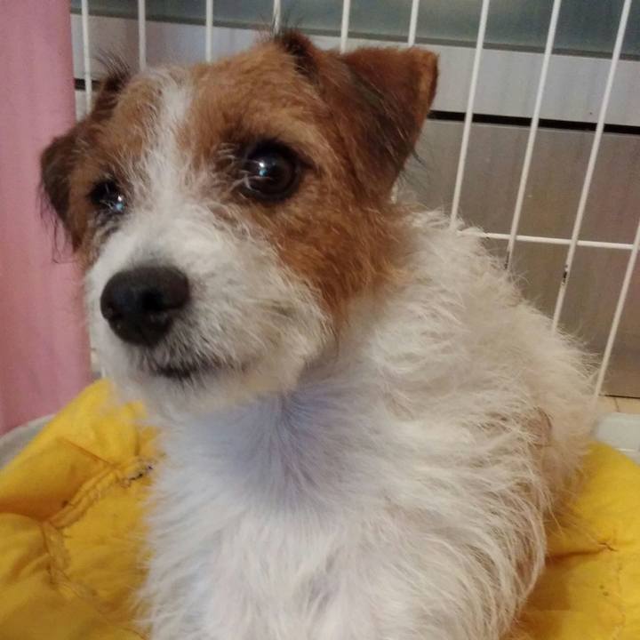 327ae662 e0f8 46be b932 0697e1ee9ef5 1538004471693