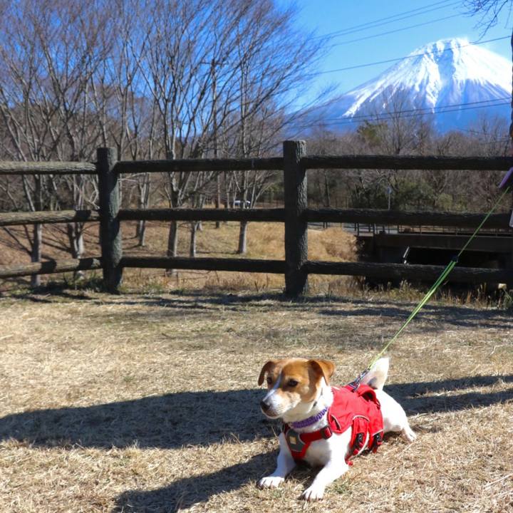 327afda9 03bc 446c b66b f0cd48ff5e4b 1582441653132