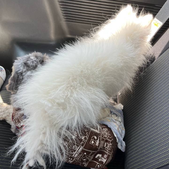 327b0b96 4083 42e1 9521 fdd825924048 1650355981614