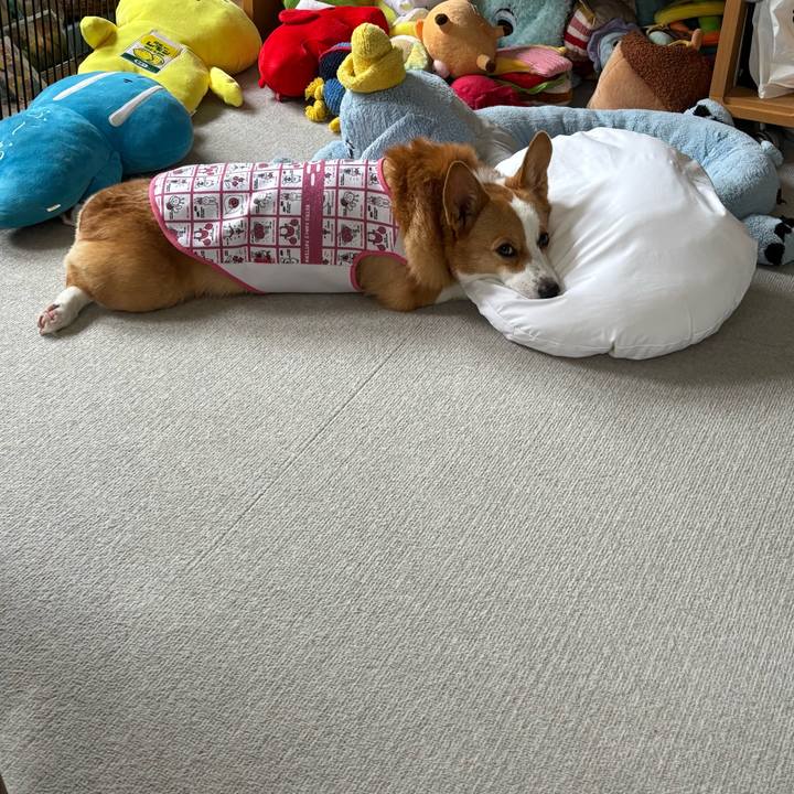 327b16bc ec9c 4640 bf00 b2ac3580d16b 1761960663767