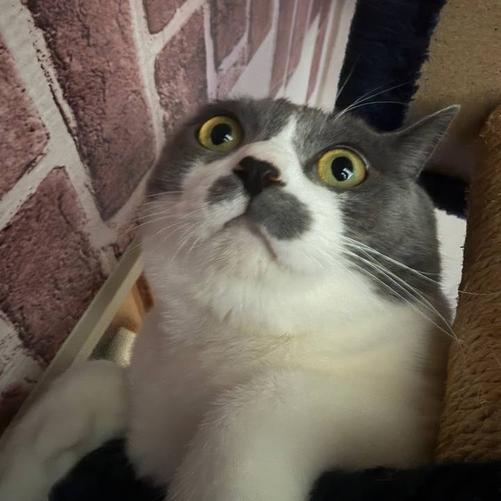 327b3183 7e7a 47d9 aa7b 4a320b08176a 1762647214179