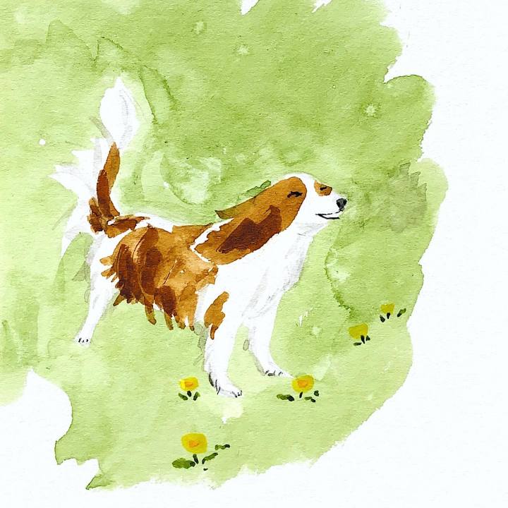 327b8403 152f 40e9 b098 7061b275eb99 1686787594437