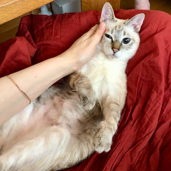 327ba40e 02ae 4a55 a940 237adaea3d2e 1770809640130