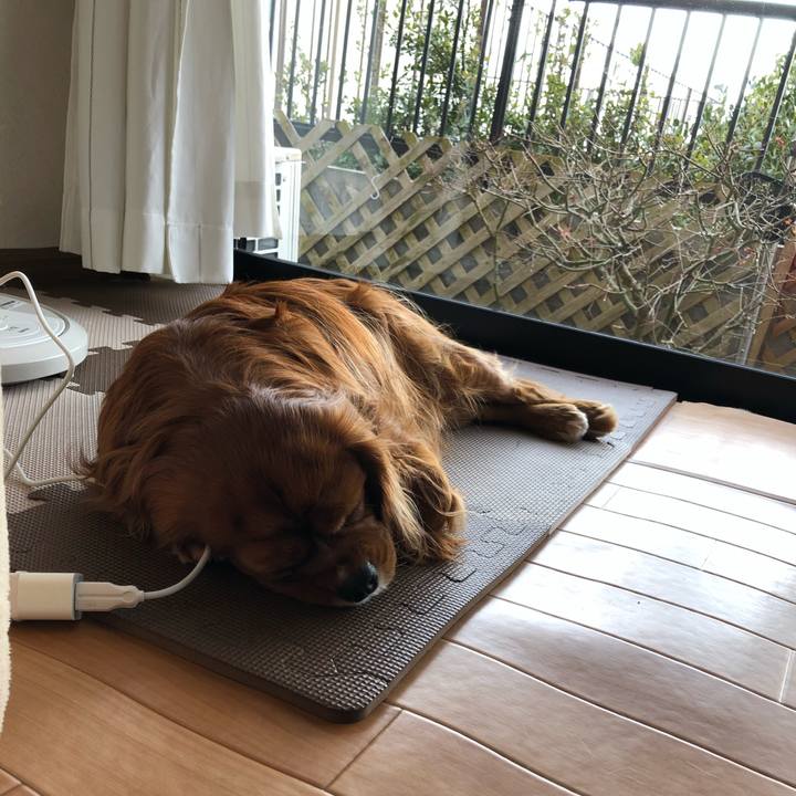 327bb97c d103 4367 b0d6 f77f430ae431 1610981266263