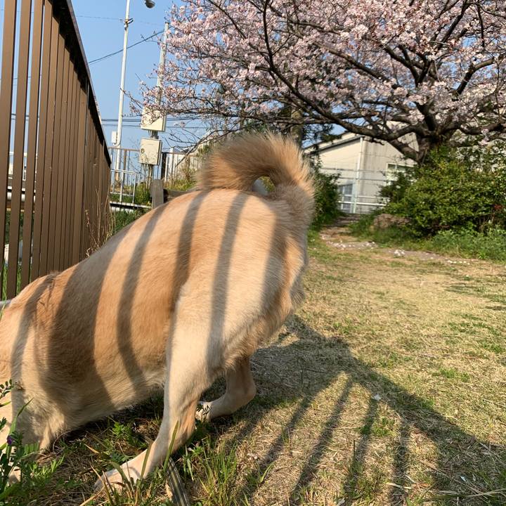 327be52a 0ca9 4787 b265 2f1c4cbb6662 1554596545337