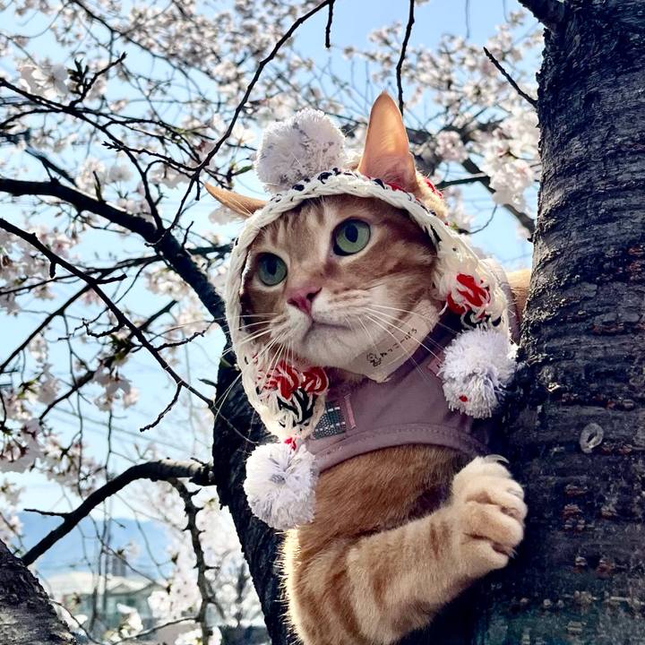 327bf739 6289 43d6 b835 ba8443716126 1743851845921