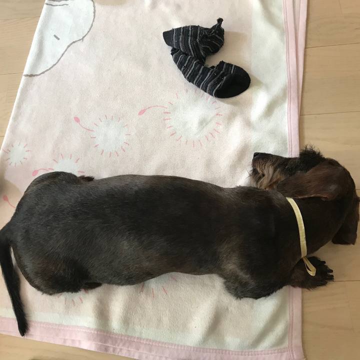 327bfee6 9445 4309 9e0d c3a69dd2a8db 1525416812985