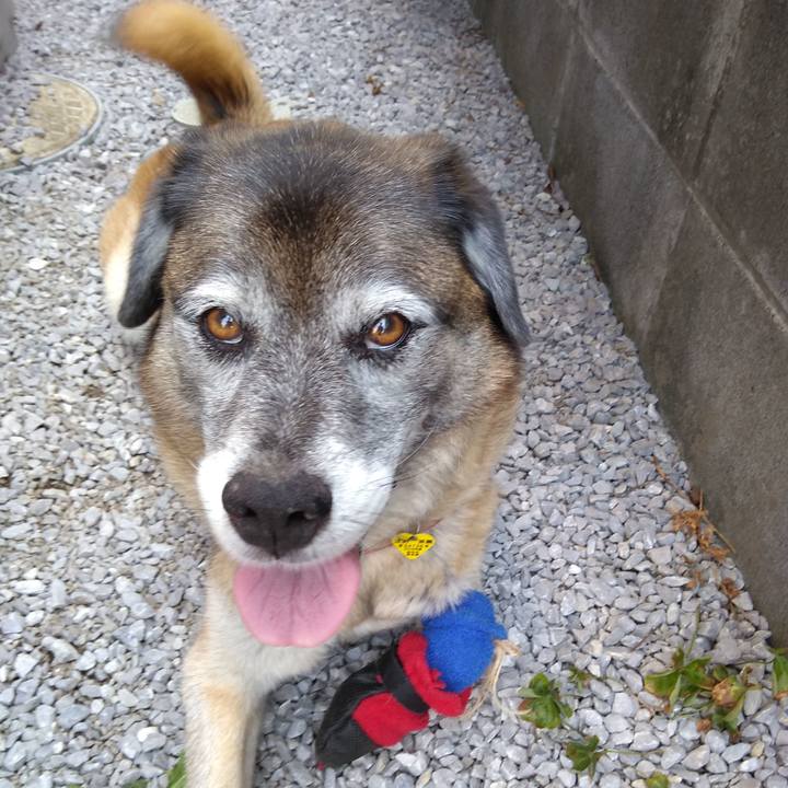 327c156e 7055 4c77 b6d3 fecc92801dde 1565220806261