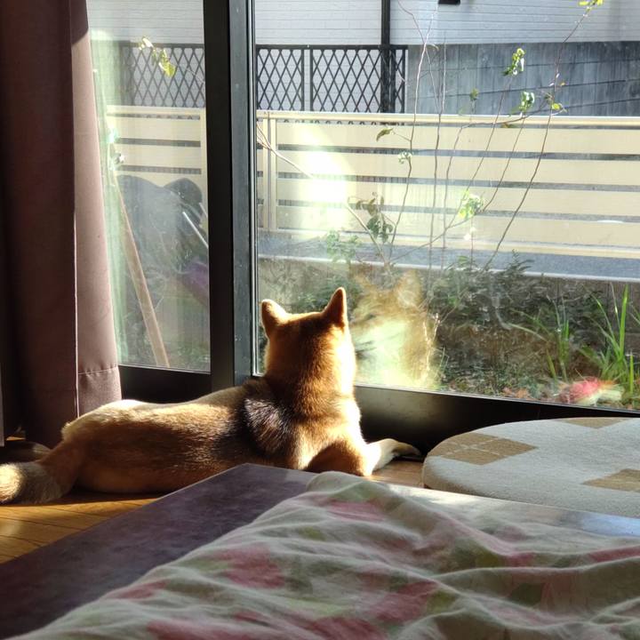 327c1fdc 91e2 497f a7f1 2def980b8b4f 1640668692856