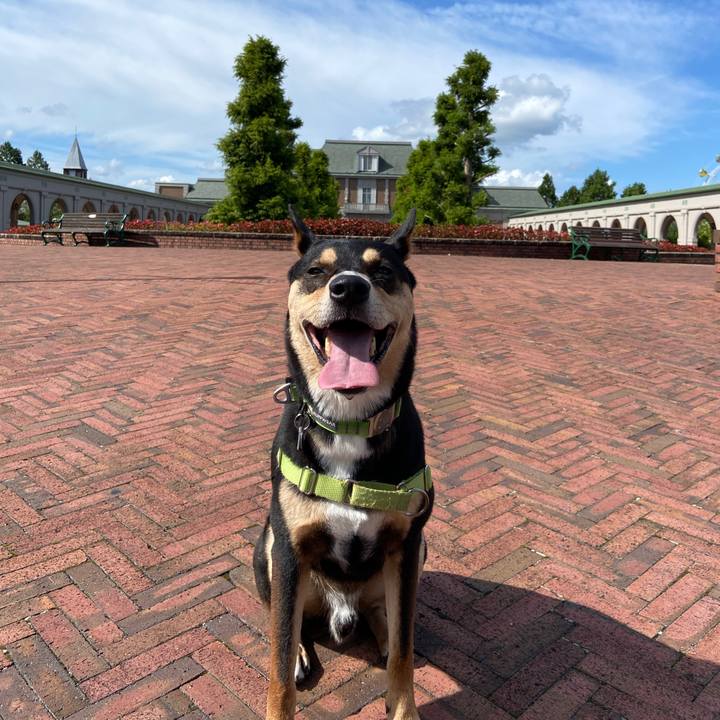 327c3d1b 3e3a 4cd3 a377 089e84766a63 1630931267446