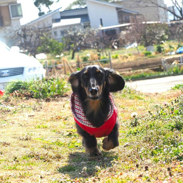 327c50cf ba01 472d 91ea 5f5d06c6c72e 1551159203466