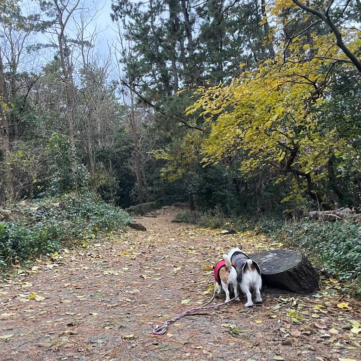 327c6cf2 09c9 44c2 8b1d e1ffb0e77601 1733529260138