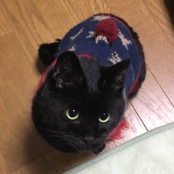 327c8030 4bc0 47f2 a900 2edf755a0d6e 1542628748762