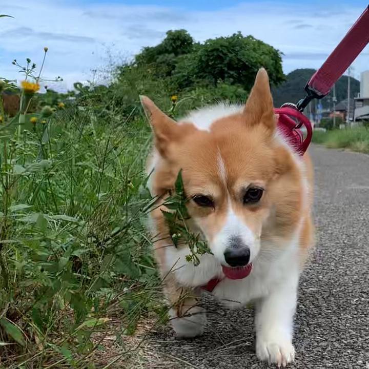 327c8eac 7065 4183 a081 816f5b2784f6 1665803726995