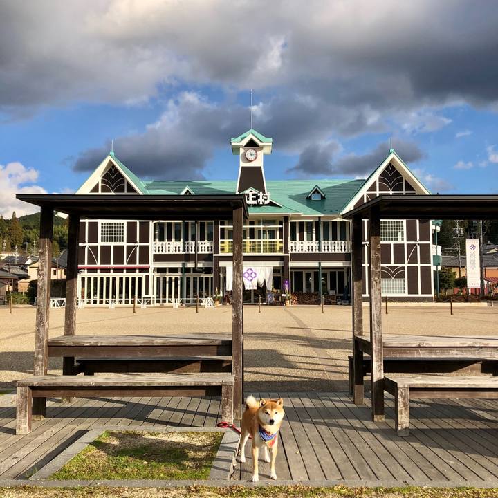 327ca831 9173 4f5b 8321 b30fc861068a 1545982792948